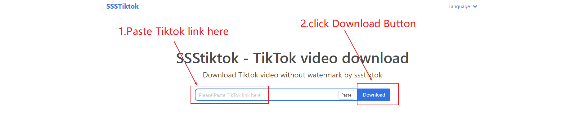 how to use ssstiktok